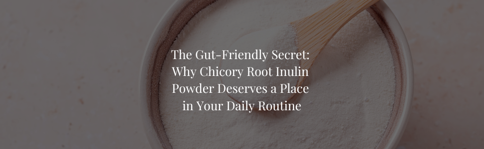 The Gut-Friendly Secret: Why Chicory Root Inulin Powder Deserves a Place in Your Daily Routine