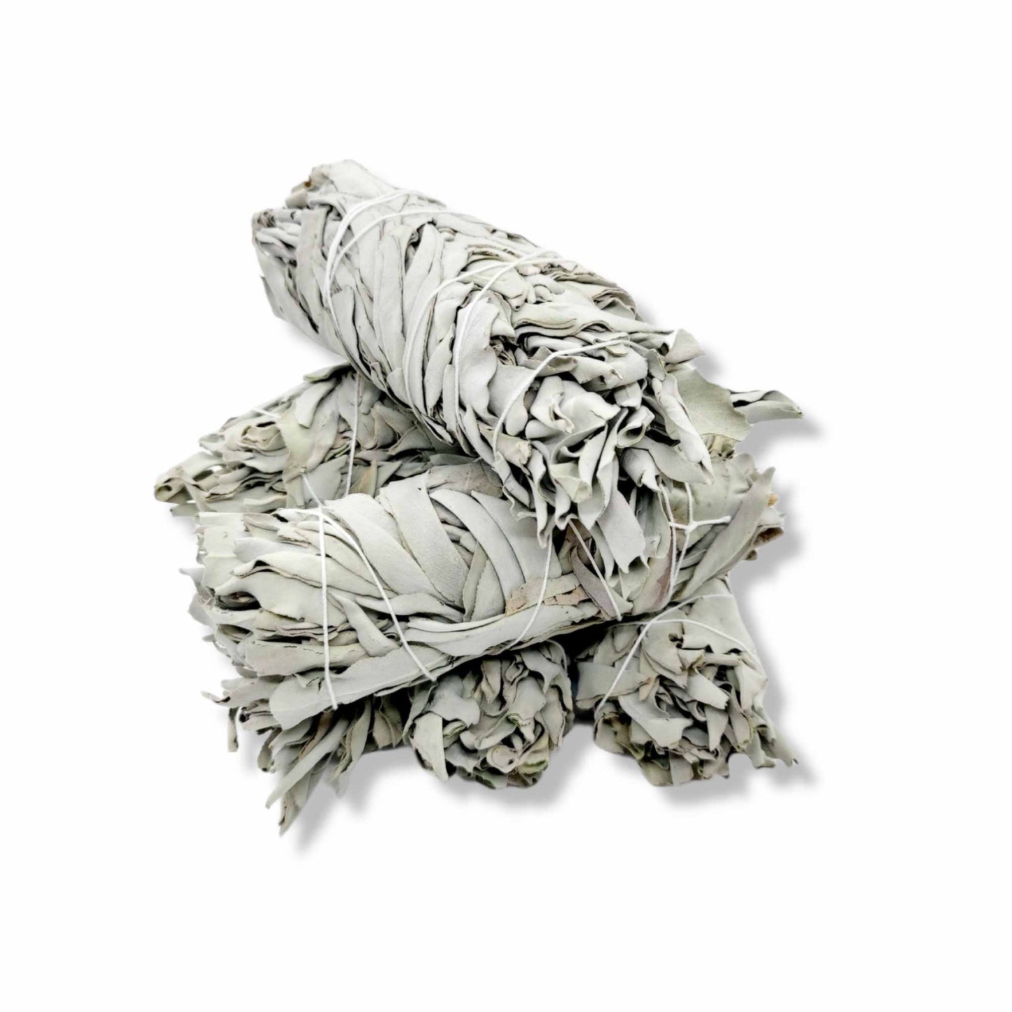 Bulk Californian White Sage Smudge Stick Medium 13-15cm Incense Cleansing Bundle