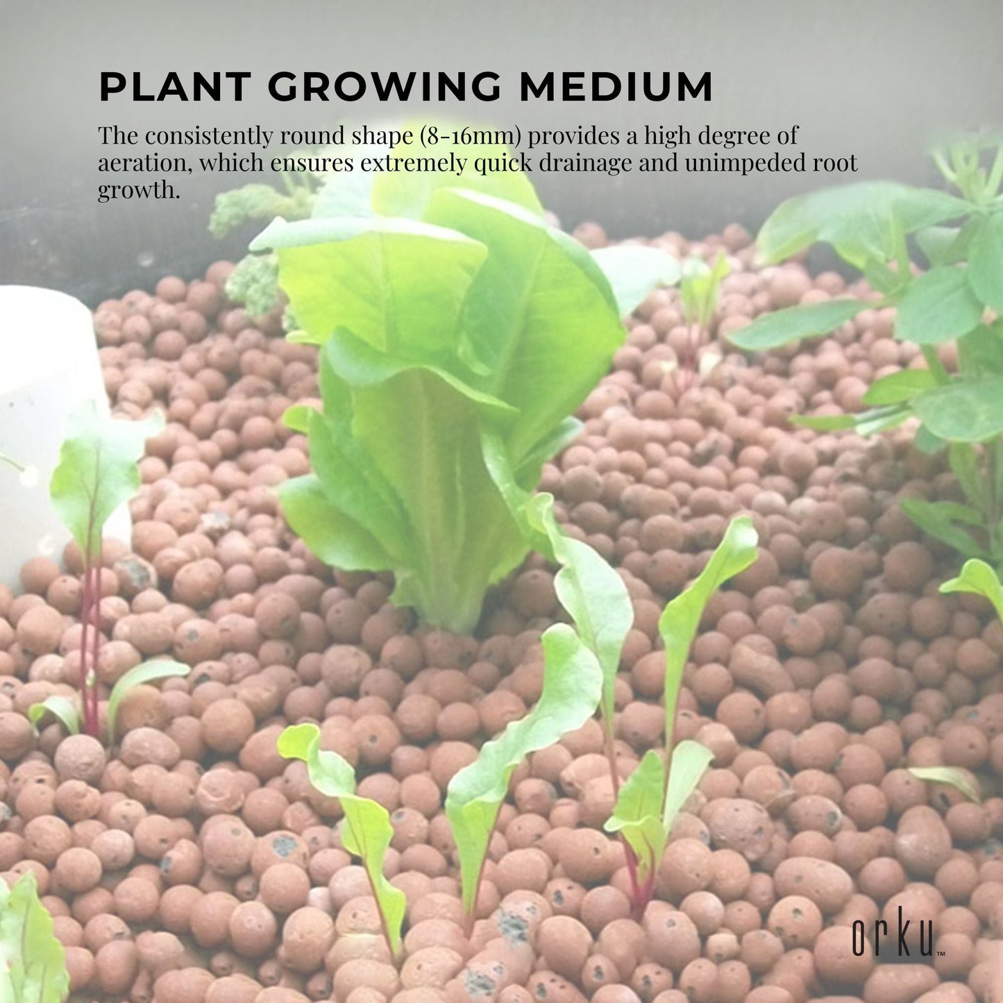 Natural Hydro Clay Balls - Premium Hydroponic Expanded Plant Growing Medium Bulk