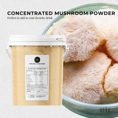 Organic Lions Mane Mushroom Powder Supplement - Hericium Erinaceus Bucket